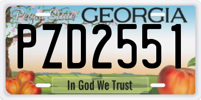 GA license plate PZD2551