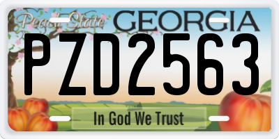 GA license plate PZD2563