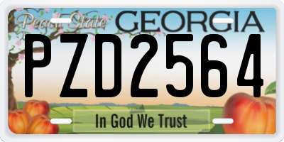 GA license plate PZD2564