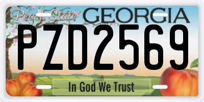 GA license plate PZD2569