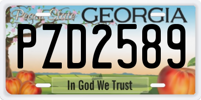 GA license plate PZD2589