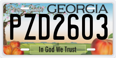 GA license plate PZD2603