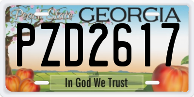 GA license plate PZD2617