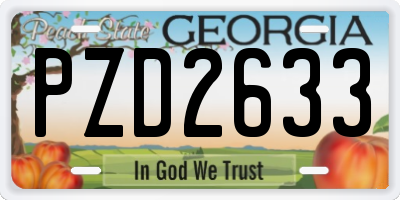 GA license plate PZD2633