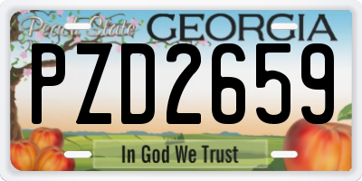 GA license plate PZD2659