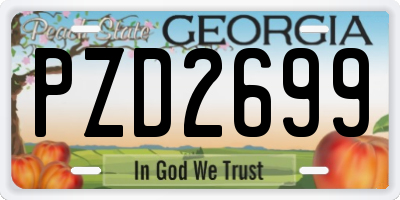 GA license plate PZD2699