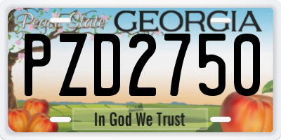 GA license plate PZD2750