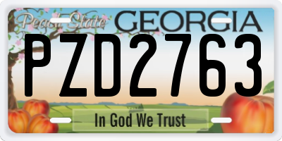 GA license plate PZD2763