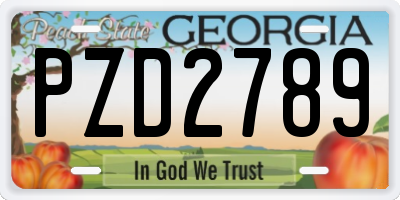 GA license plate PZD2789