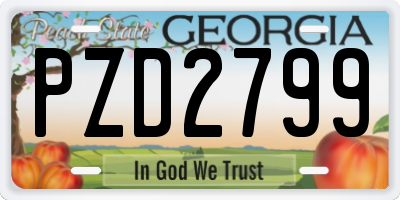 GA license plate PZD2799