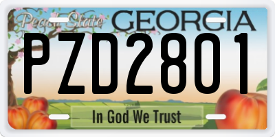 GA license plate PZD2801