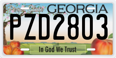 GA license plate PZD2803