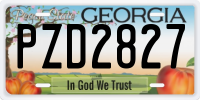 GA license plate PZD2827