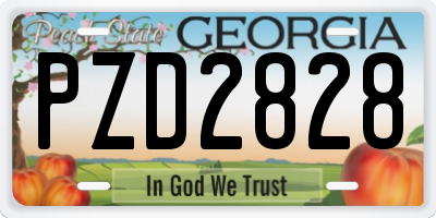 GA license plate PZD2828