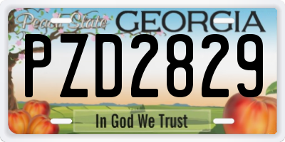 GA license plate PZD2829