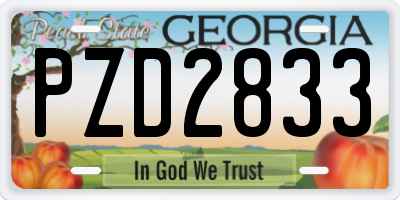 GA license plate PZD2833