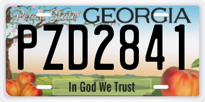 GA license plate PZD2841