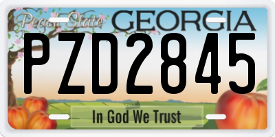 GA license plate PZD2845