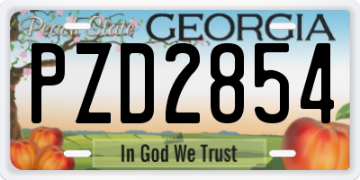 GA license plate PZD2854