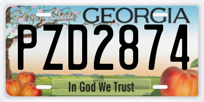 GA license plate PZD2874