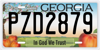 GA license plate PZD2879