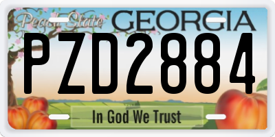 GA license plate PZD2884