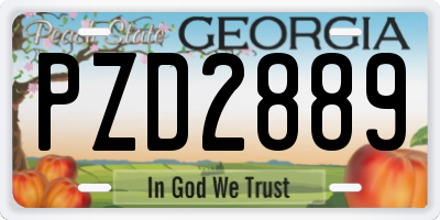 GA license plate PZD2889