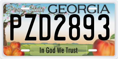 GA license plate PZD2893