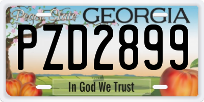 GA license plate PZD2899