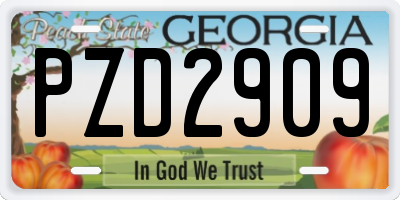 GA license plate PZD2909