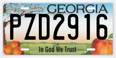 GA license plate PZD2916