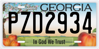 GA license plate PZD2934