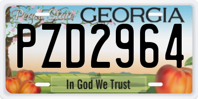 GA license plate PZD2964