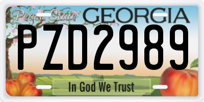 GA license plate PZD2989