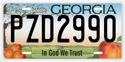 GA license plate PZD2990