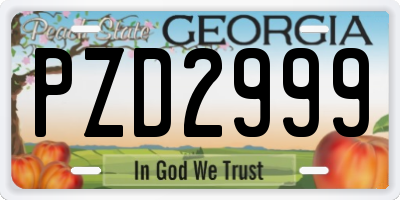 GA license plate PZD2999