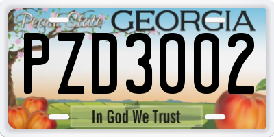 GA license plate PZD3002