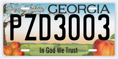 GA license plate PZD3003