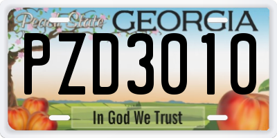 GA license plate PZD3010