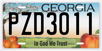 GA license plate PZD3011