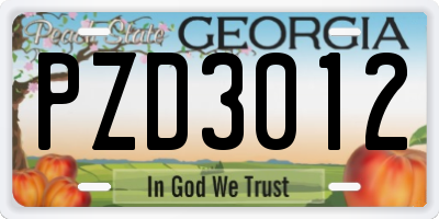 GA license plate PZD3012
