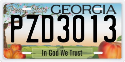 GA license plate PZD3013