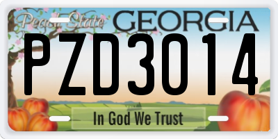 GA license plate PZD3014