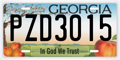 GA license plate PZD3015