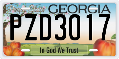 GA license plate PZD3017