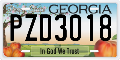 GA license plate PZD3018