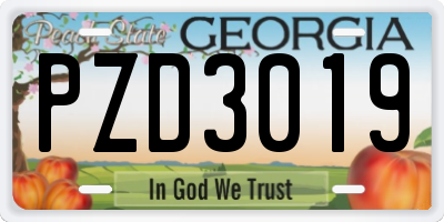 GA license plate PZD3019