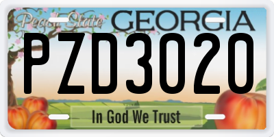 GA license plate PZD3020