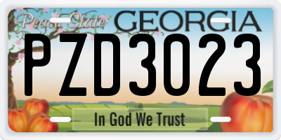 GA license plate PZD3023