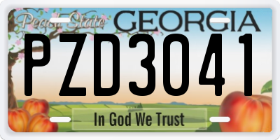 GA license plate PZD3041